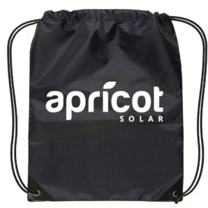 Small Drawstring Black Backpack