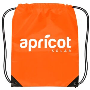 Small Drawstring Orange Backpack